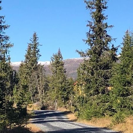 Sykkelhytte Ved Slatten I Synnfjellet Nord Torpa Exteriér fotografie
