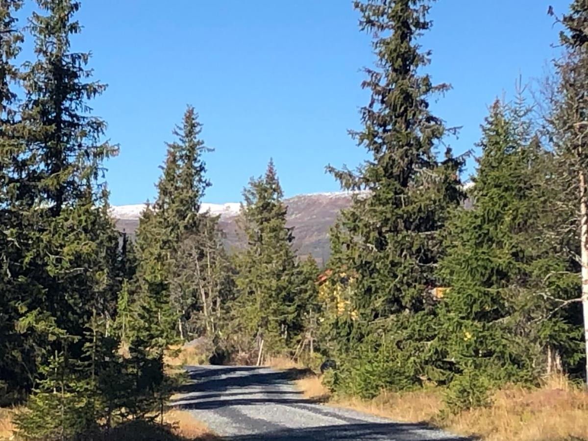 Sykkelhytte Ved Slatten I Synnfjellet Nord Torpa Exteriér fotografie